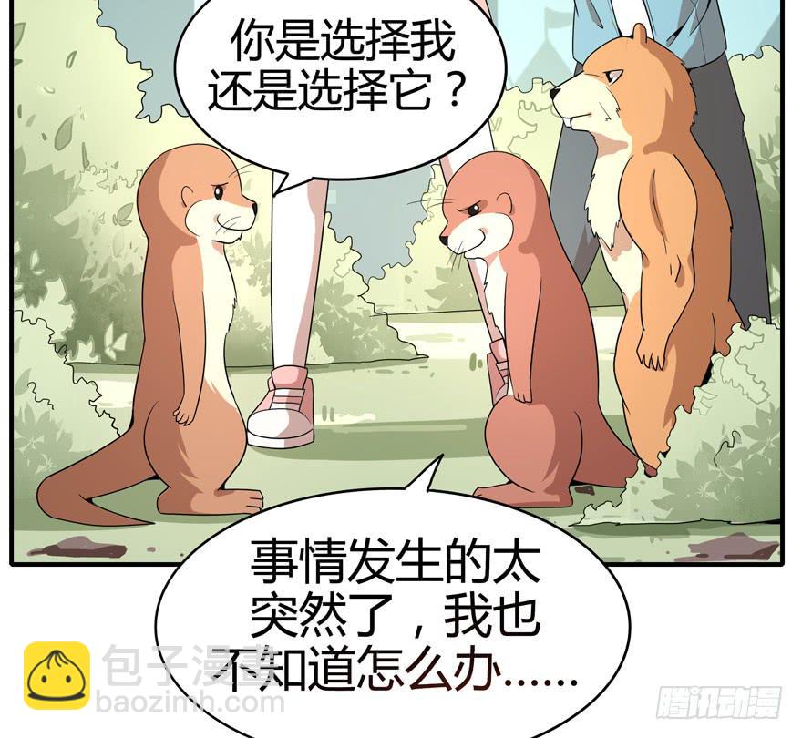 《YOYO的奇葩动物帝国》世界总是在你关心自己那点事的 第35页
