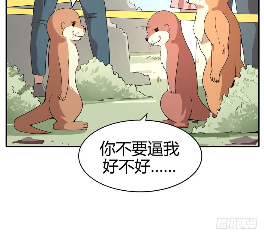 《YOYO的奇葩动物帝国》世界总是在你关心自己那点事的 第37页