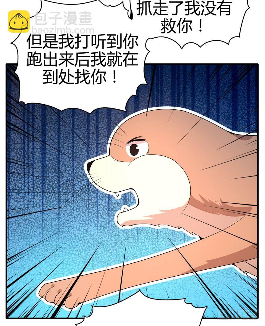 《YOYO的奇葩动物帝国》世界总是在你关心自己那点事的 第5页