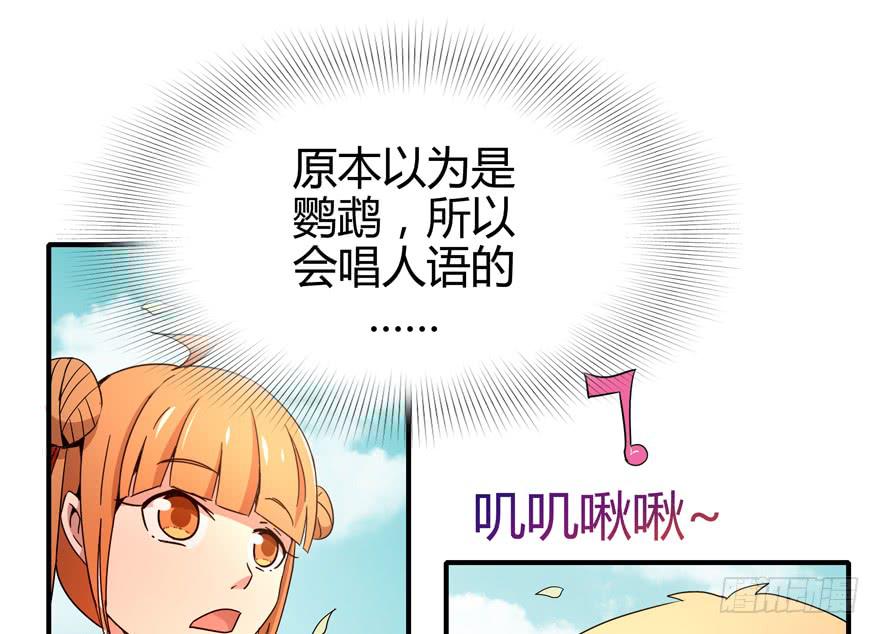 《YOYO的奇葩动物帝国》pick me up! 第37页