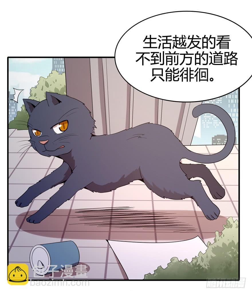 《YOYO的奇葩动物帝国》pick me up! 第5页