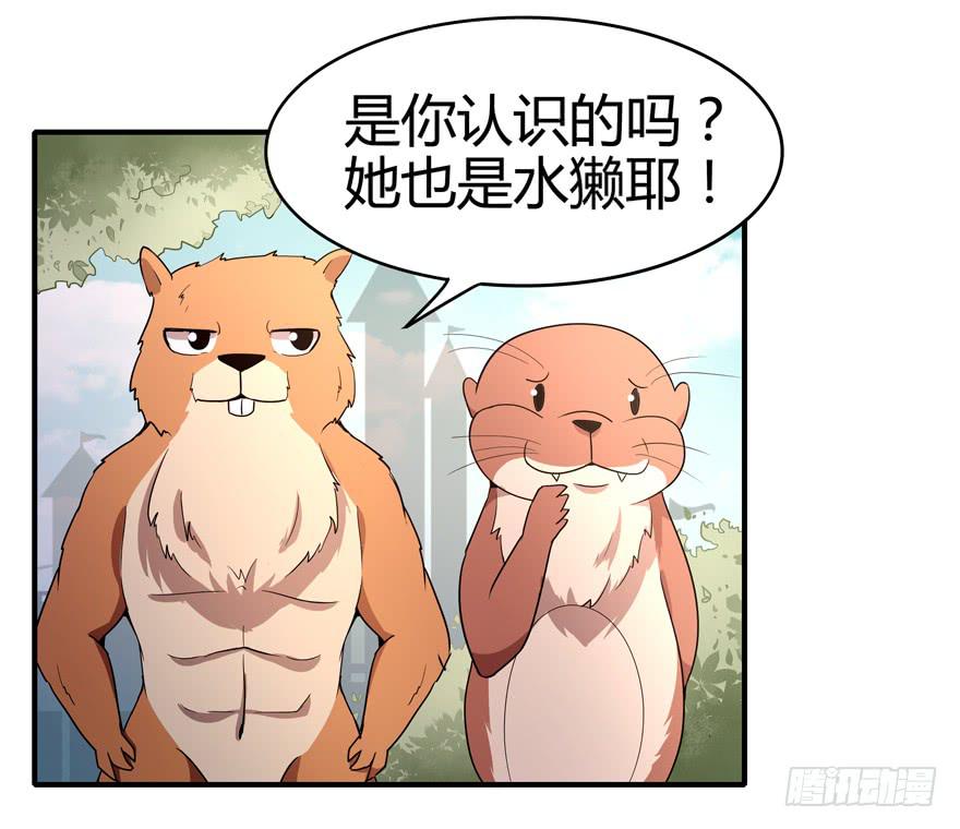 《YOYO的奇葩动物帝国》大名猩 第15页