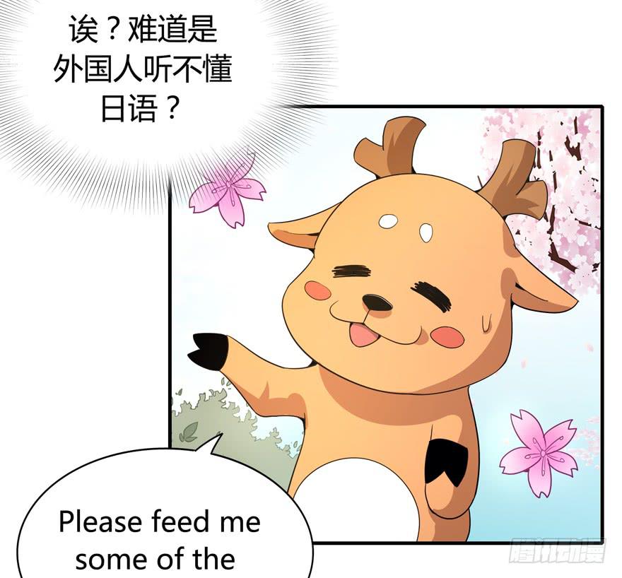 《YOYO的奇葩动物帝国》传说中的老太妹 第15页