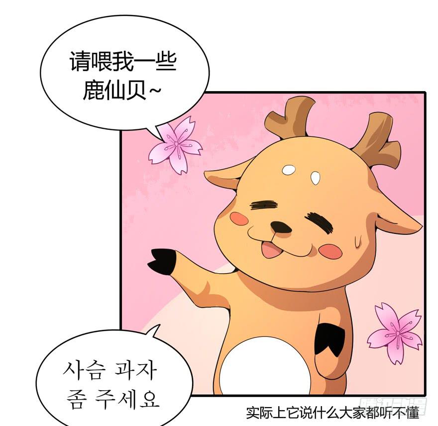 《YOYO的奇葩动物帝国》传说中的老太妹 第17页