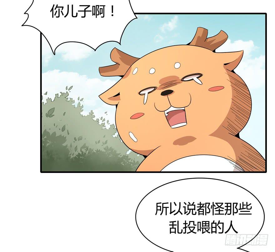 《YOYO的奇葩动物帝国》传说中的老太妹 第27页