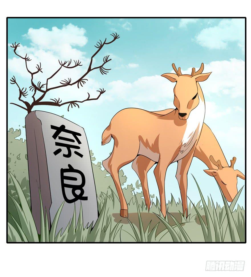 《YOYO的奇葩动物帝国》传说中的老太妹 第4页