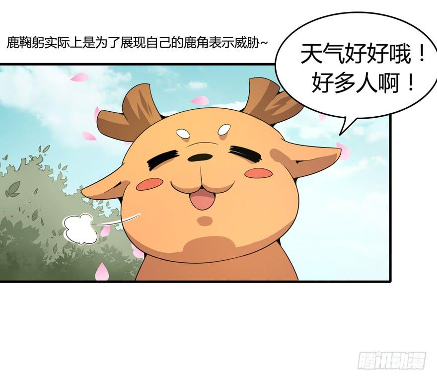 《YOYO的奇葩动物帝国》传说中的老太妹 第8页