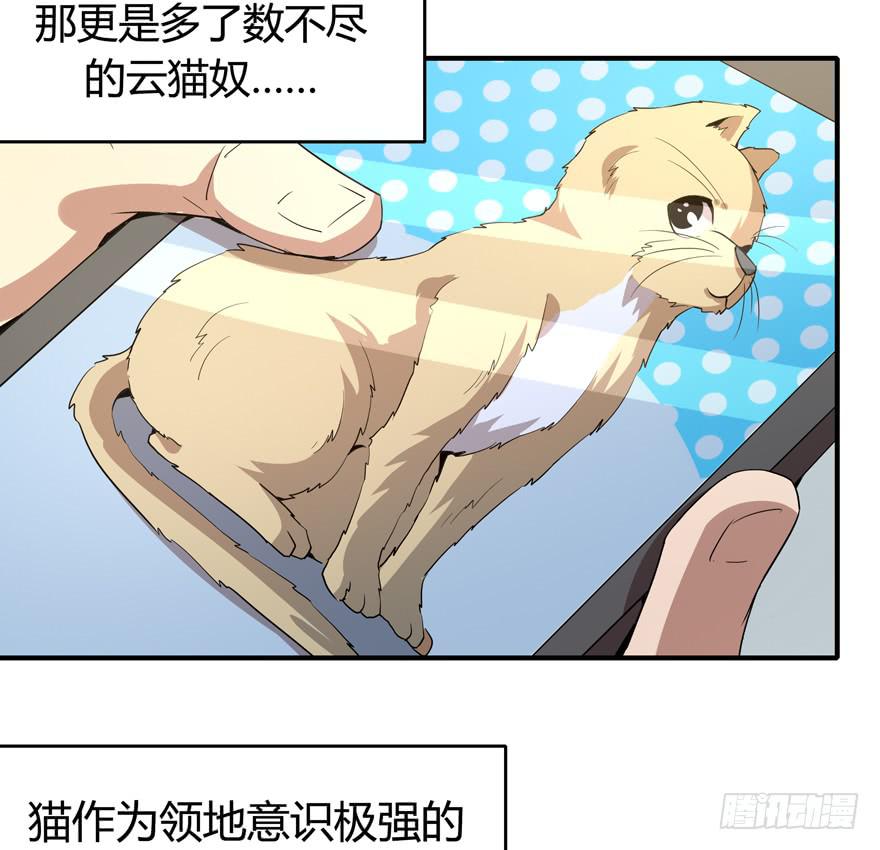 《YOYO的奇葩动物帝国》时过境迁 第11页