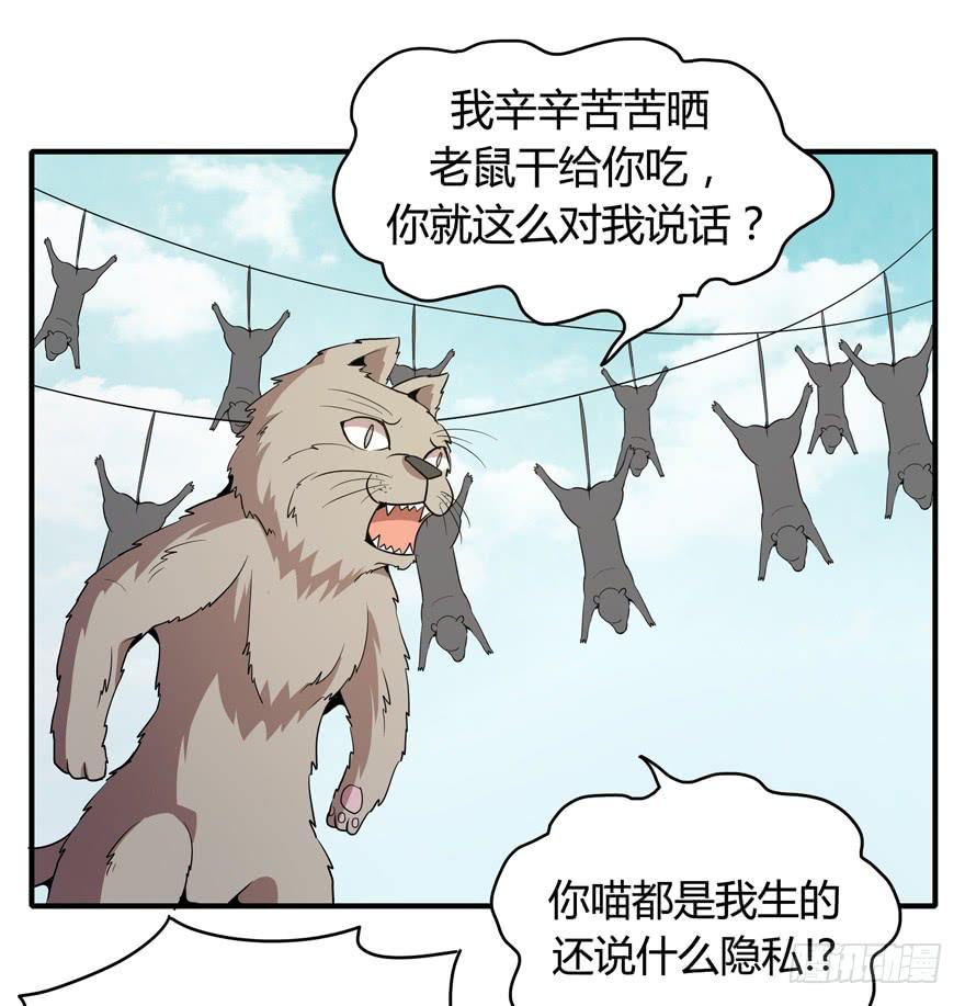 《YOYO的奇葩动物帝国》时过境迁 第23页