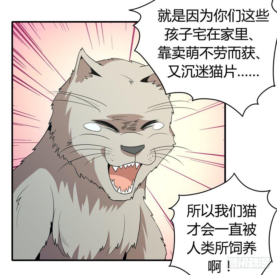 《YOYO的奇葩动物帝国》时过境迁 第25页