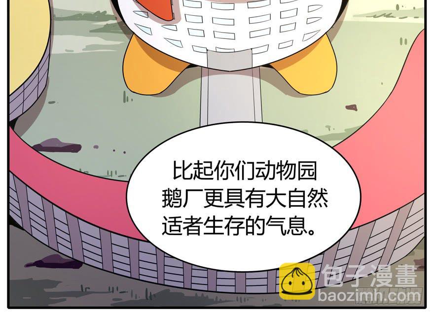 《YOYO的奇葩动物帝国》鹅厂之中 第16页
