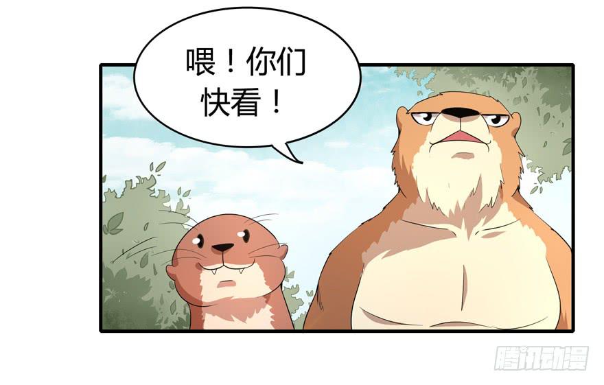 《YOYO的奇葩动物帝国》鹅厂之中 第39页