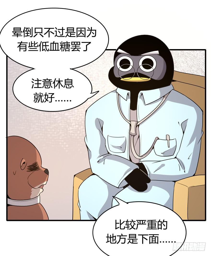 《YOYO的奇葩动物帝国》职业病都是久坐导致的 第23页