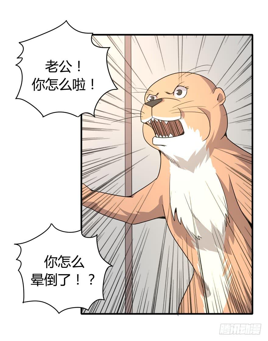 《YOYO的奇葩动物帝国》职业病都是久坐导致的 第28页