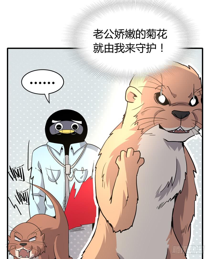 《YOYO的奇葩动物帝国》职业病都是久坐导致的 第36页