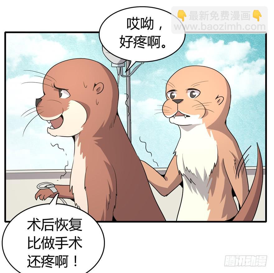 《YOYO的奇葩动物帝国》职业病都是久坐导致的 第38页