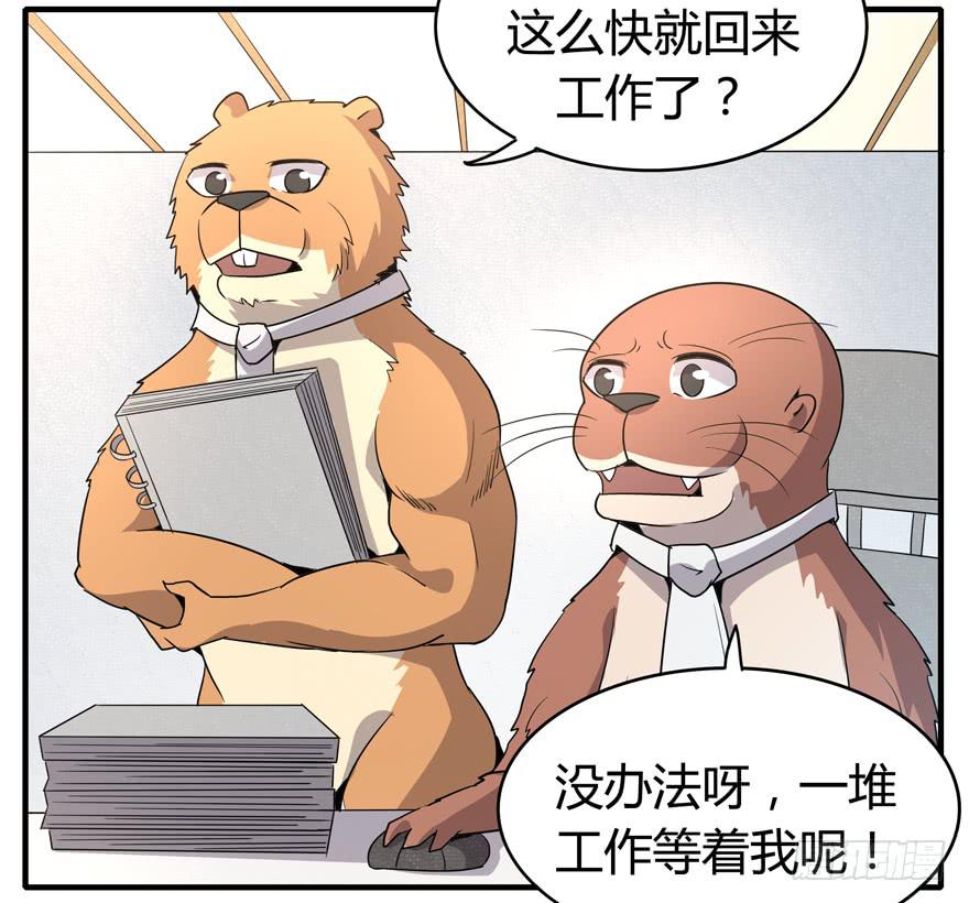 《YOYO的奇葩动物帝国》职业病都是久坐导致的 第45页