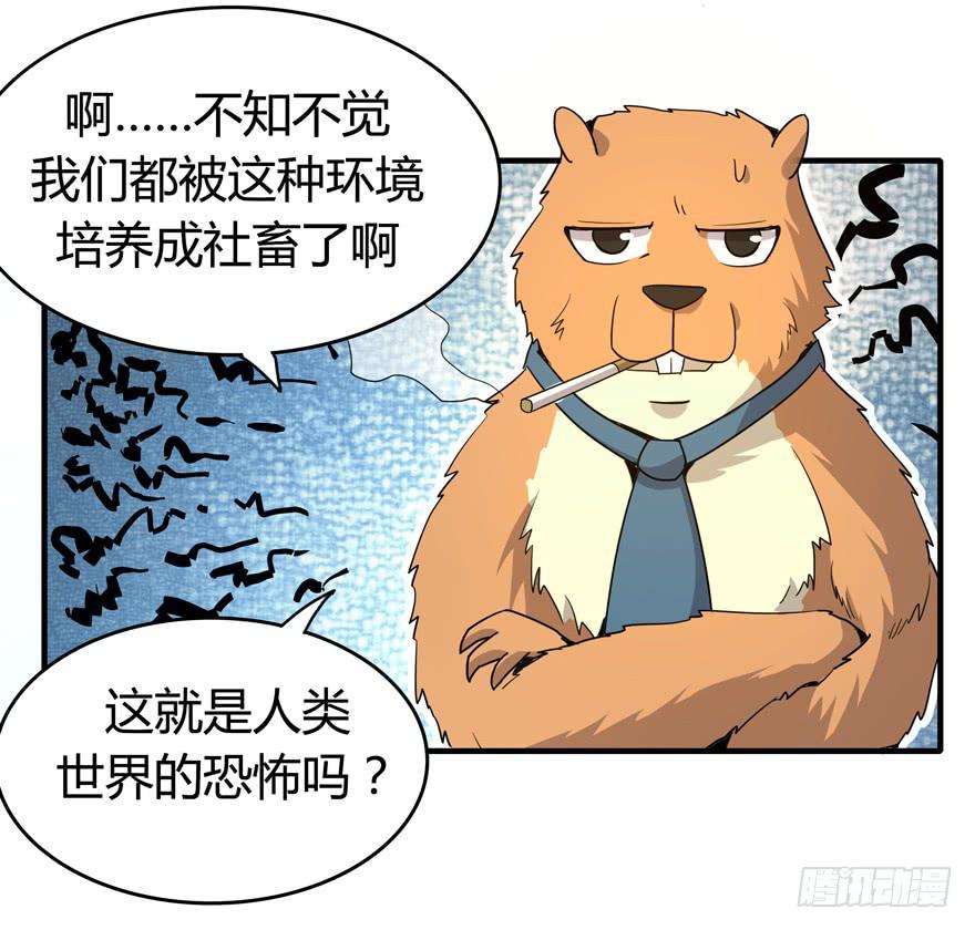 《YOYO的奇葩动物帝国》职业病都是久坐导致的 第9页