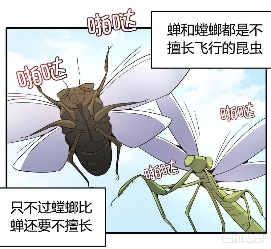 《YOYO的奇葩动物帝国》死如秋蝉 第25页