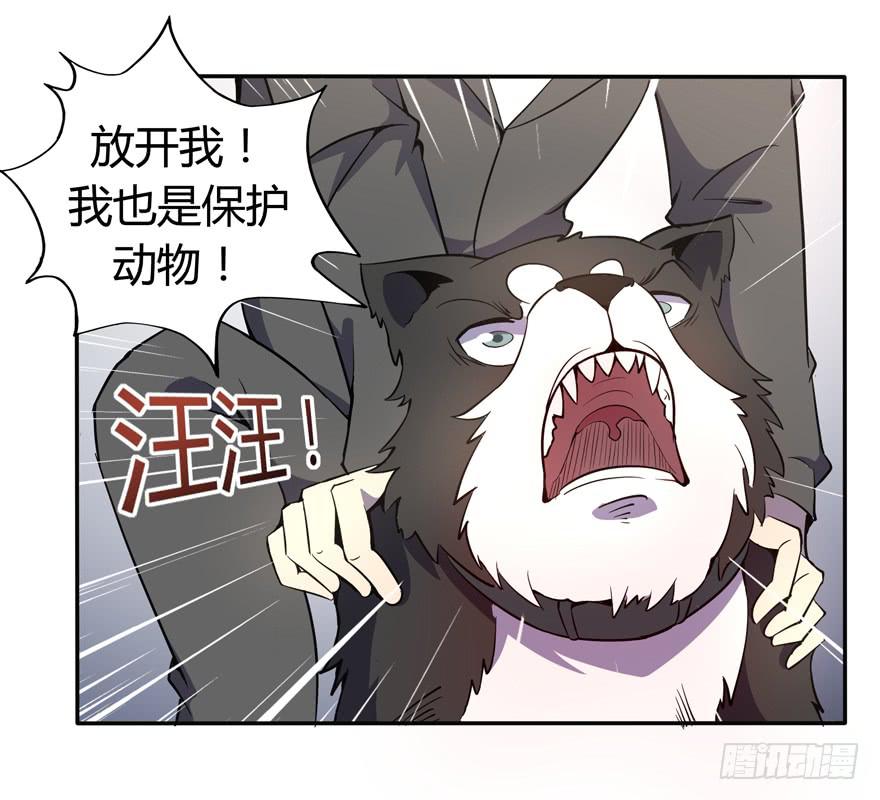 《YOYO的奇葩动物帝国》回家 第27页