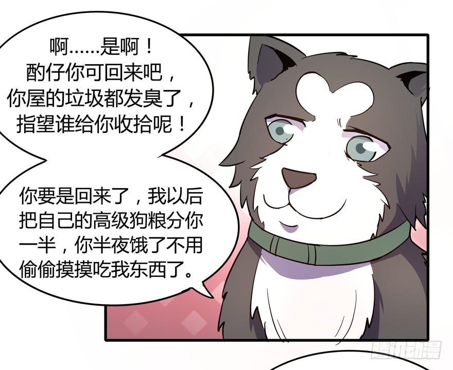 《YOYO的奇葩动物帝国》回家 第7页