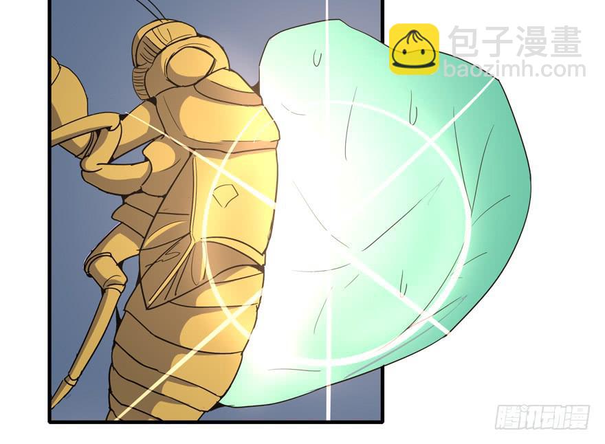 《YOYO的奇葩动物帝国》生如夏花 第10页