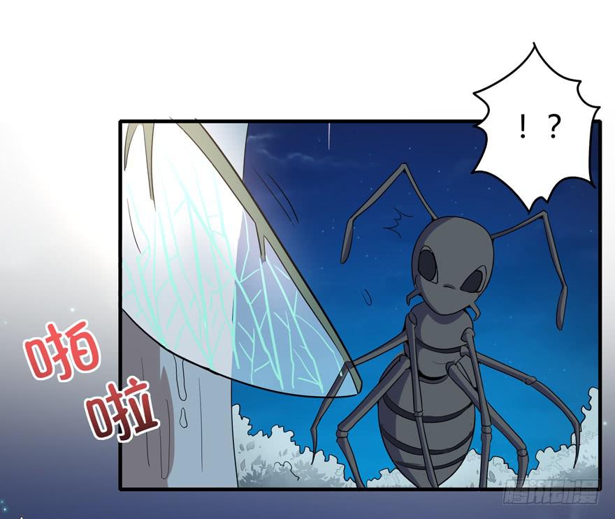 《YOYO的奇葩动物帝国》生如夏花 第11页