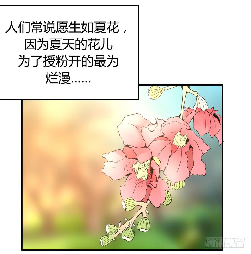 《YOYO的奇葩动物帝国》生如夏花 第23页
