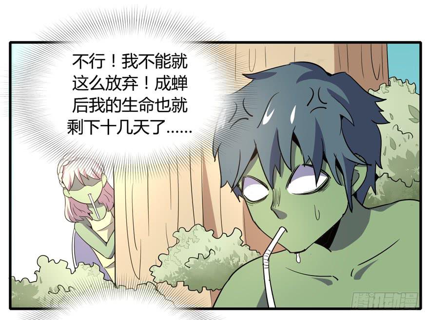 《YOYO的奇葩动物帝国》生如夏花 第37页
