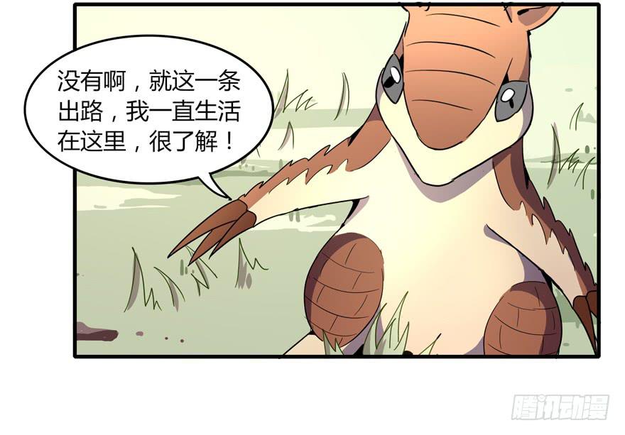 《YOYO的奇葩动物帝国》动物奇妙物语 第17页