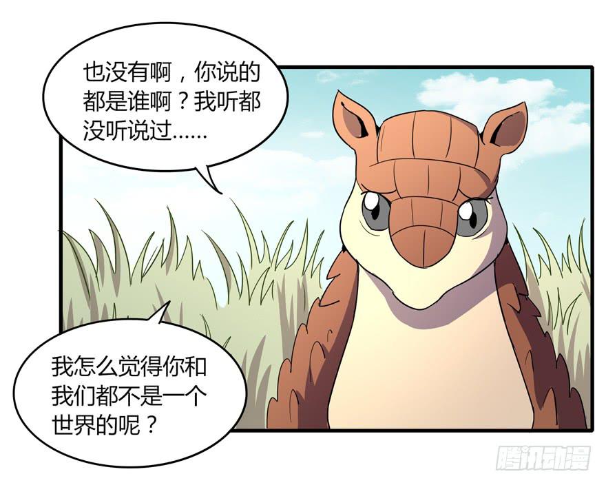《YOYO的奇葩动物帝国》动物奇妙物语 第20页