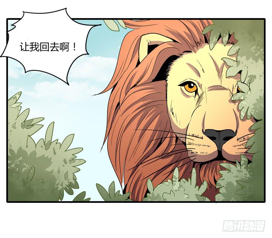 《YOYO的奇葩动物帝国》动物奇妙物语 第22页
