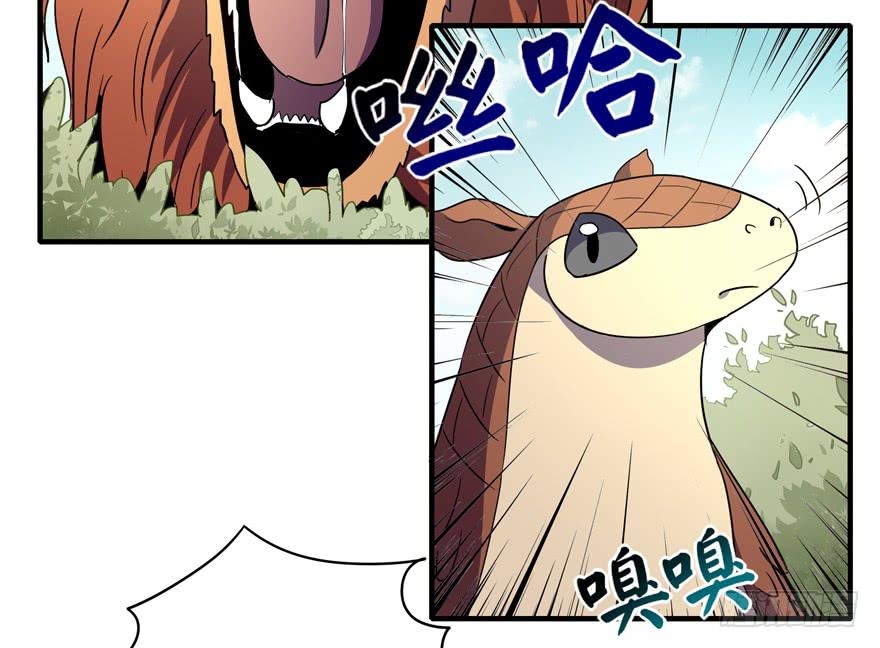 《YOYO的奇葩动物帝国》动物奇妙物语 第24页