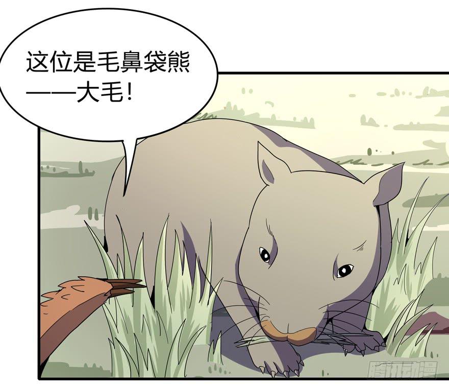 《YOYO的奇葩动物帝国》哇！金色传说！ 第19页