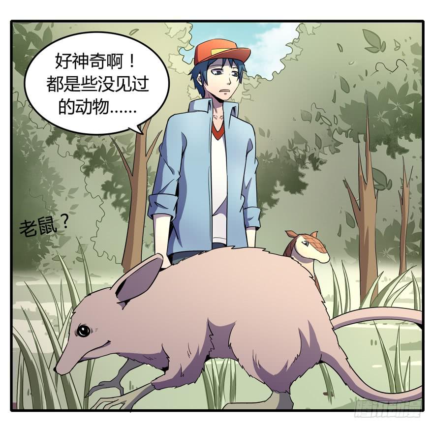 《YOYO的奇葩动物帝国》地底世界 第34页