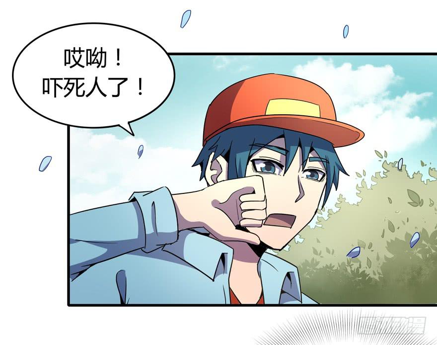 《YOYO的奇葩动物帝国》地底世界 第39页