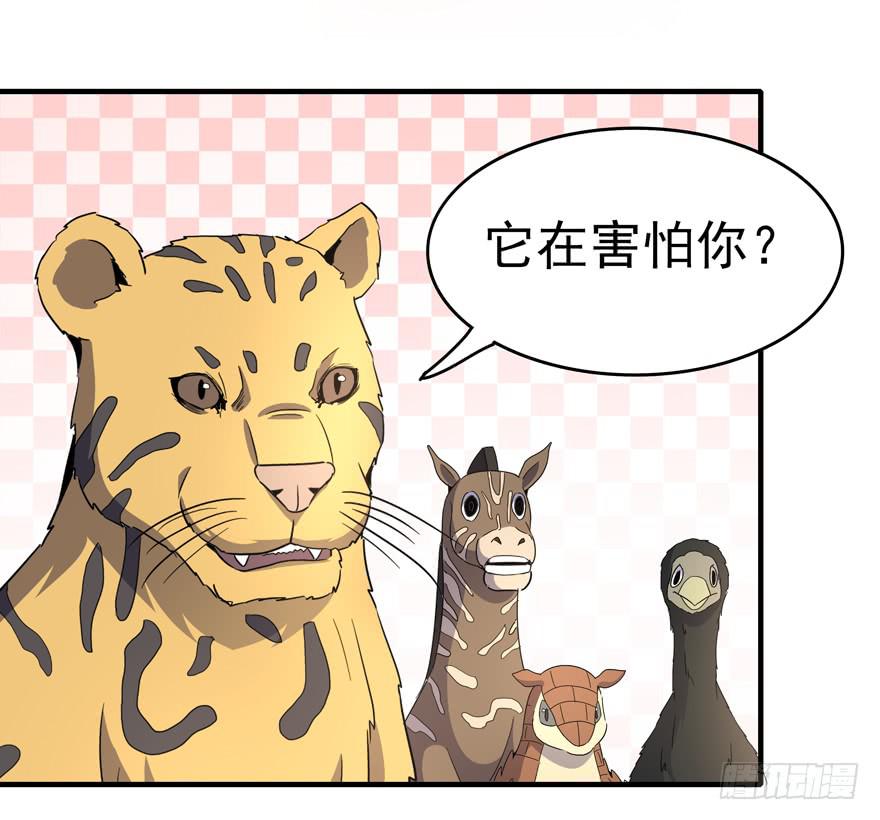 《YOYO的奇葩动物帝国》绝命巴巴里（上） 第22页