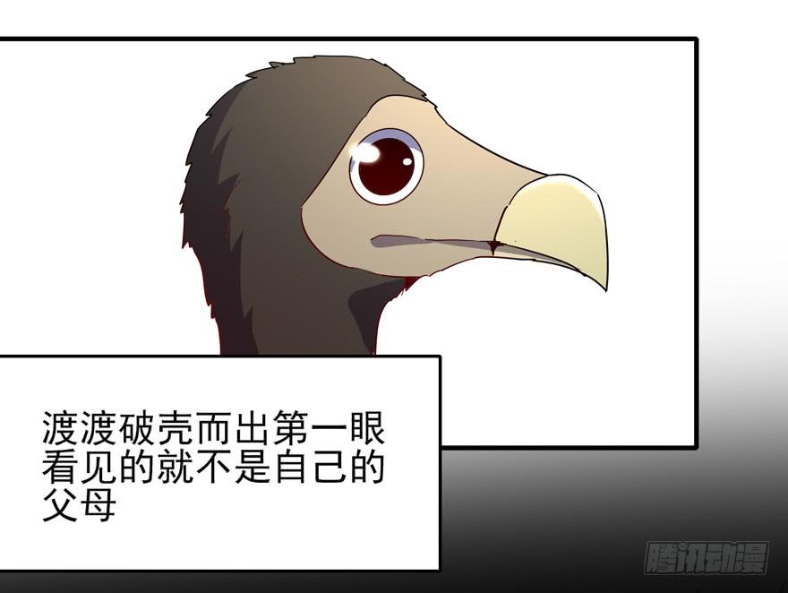 《YOYO的奇葩动物帝国》万物有灵 第13页