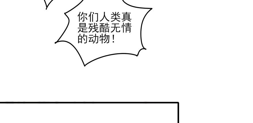 《YOYO的奇葩动物帝国》万物有灵 第40页