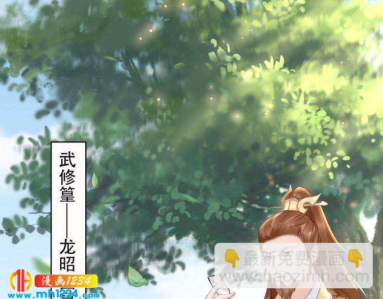 《一生一世笑苍穹》第51话 热到中暑的摄政王 第38页