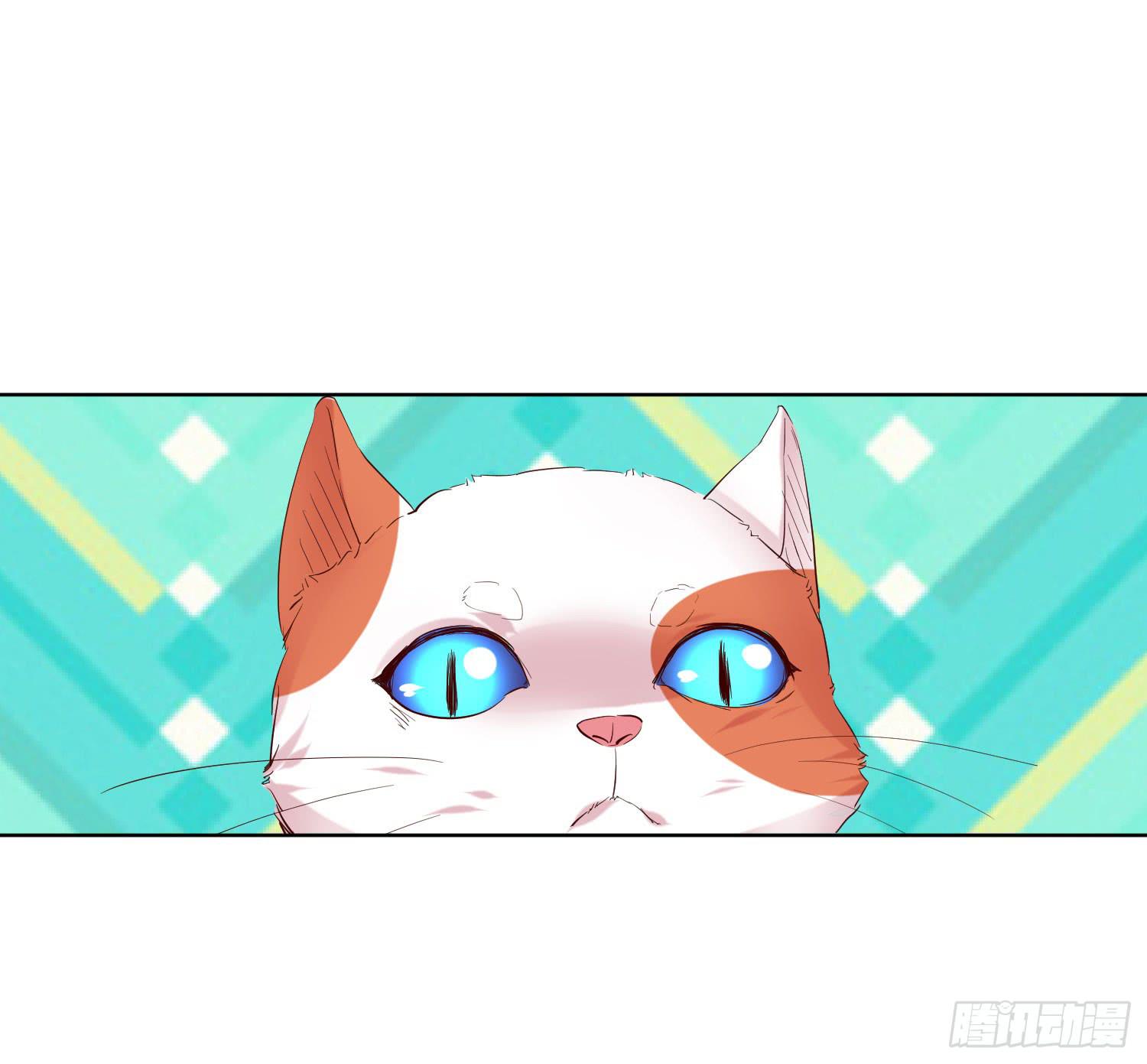 《弱气校草追爱记》神呐救救我 第11页