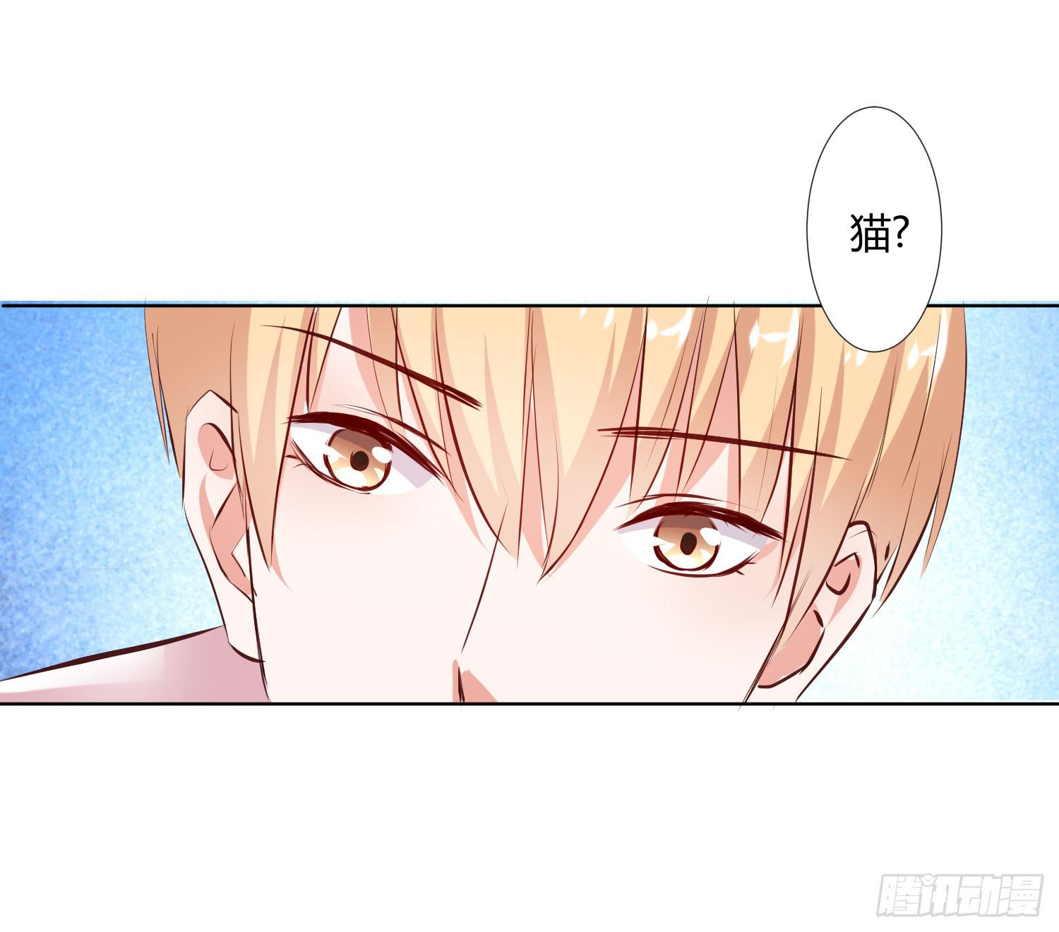 《弱气校草追爱记》神呐救救我 第12页