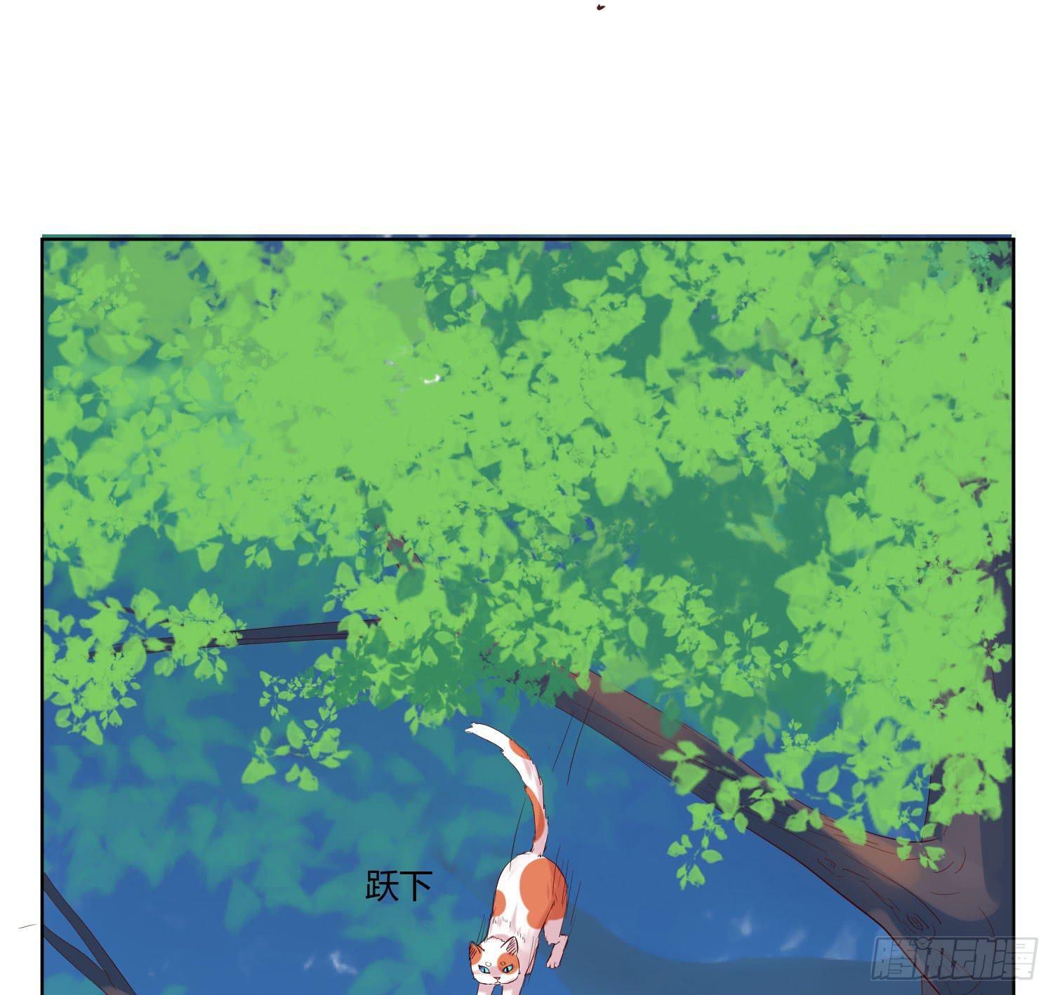 《弱气校草追爱记》神呐救救我 第13页