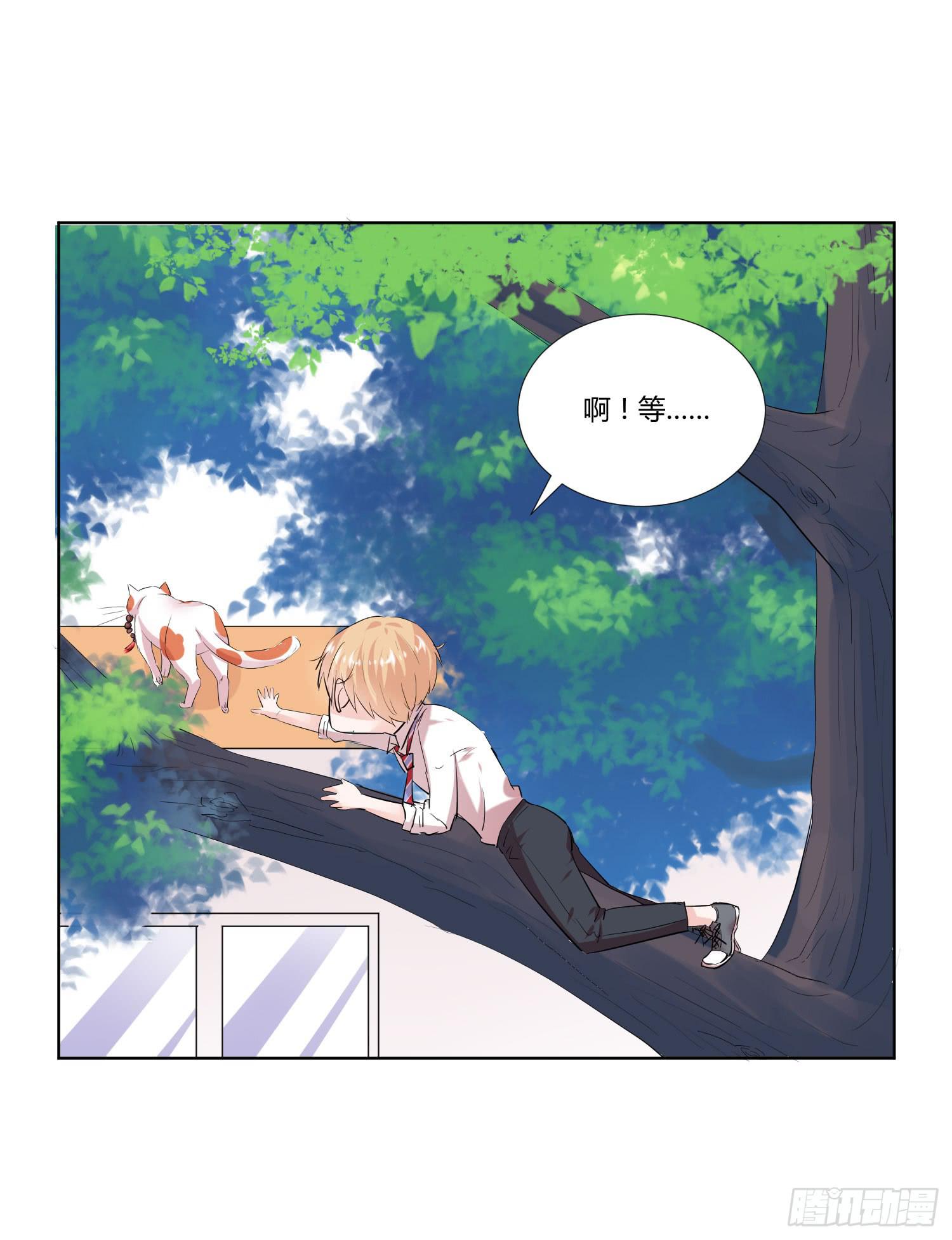 《弱气校草追爱记》神呐救救我 第20页