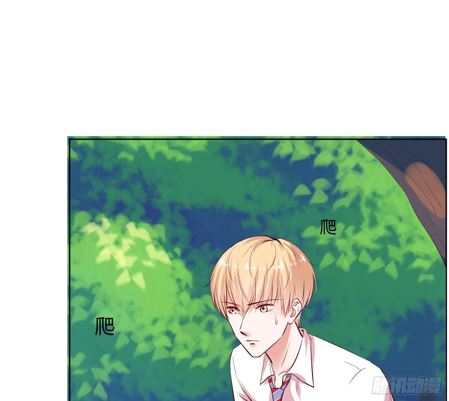《弱气校草追爱记》神呐救救我 第5页