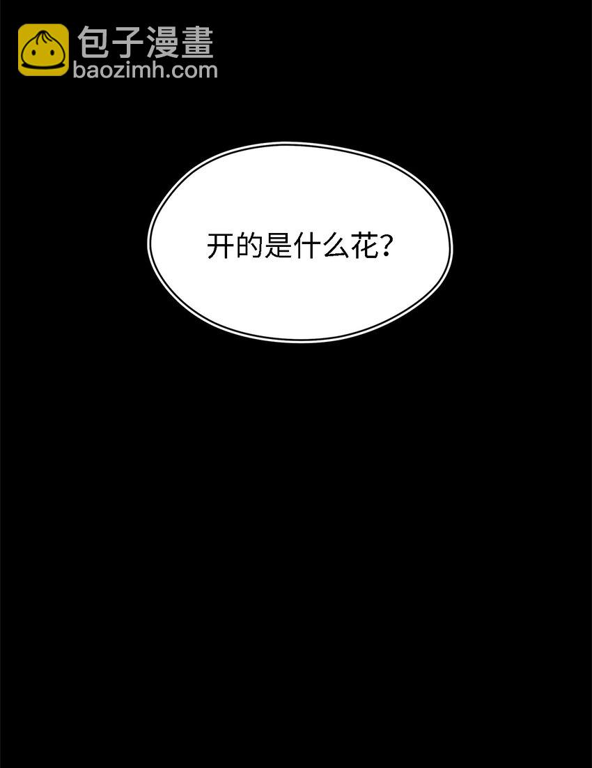 《魔女无法悠闲生活》05 不再绽放的花 第3页