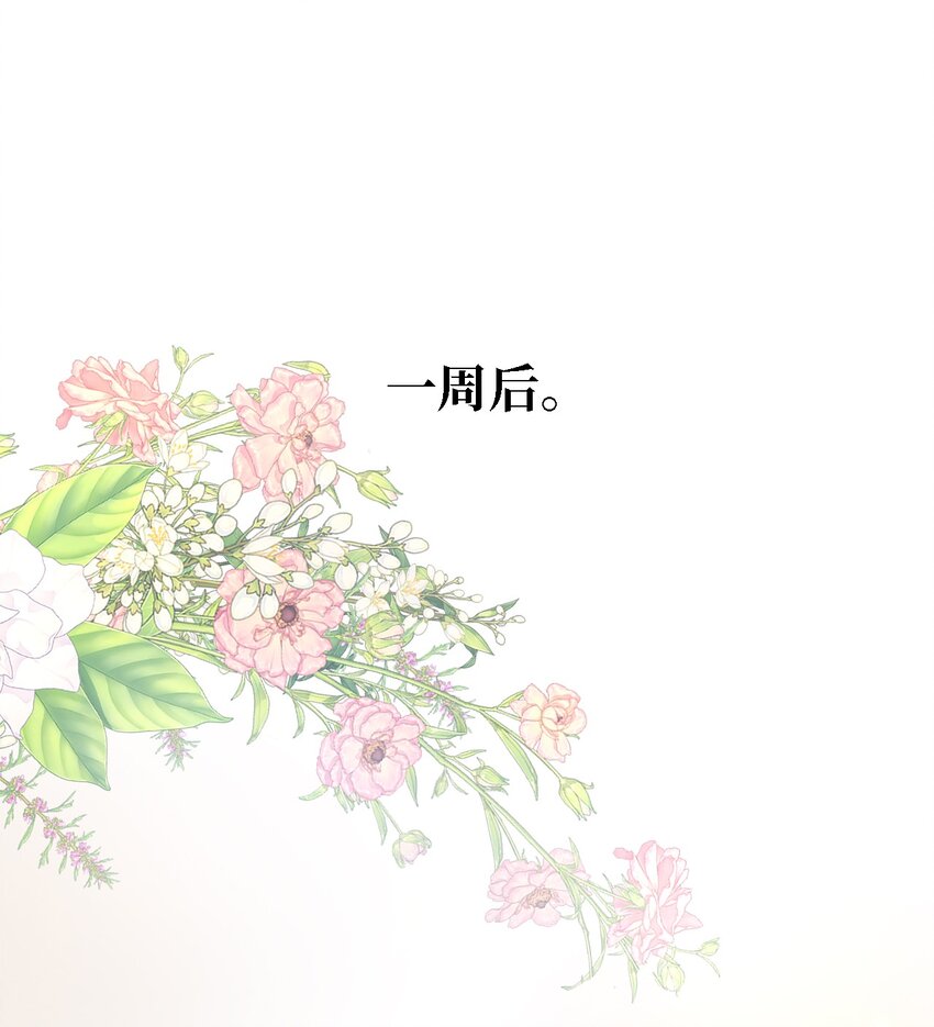 《魔女无法悠闲生活》81 启程 第1页
