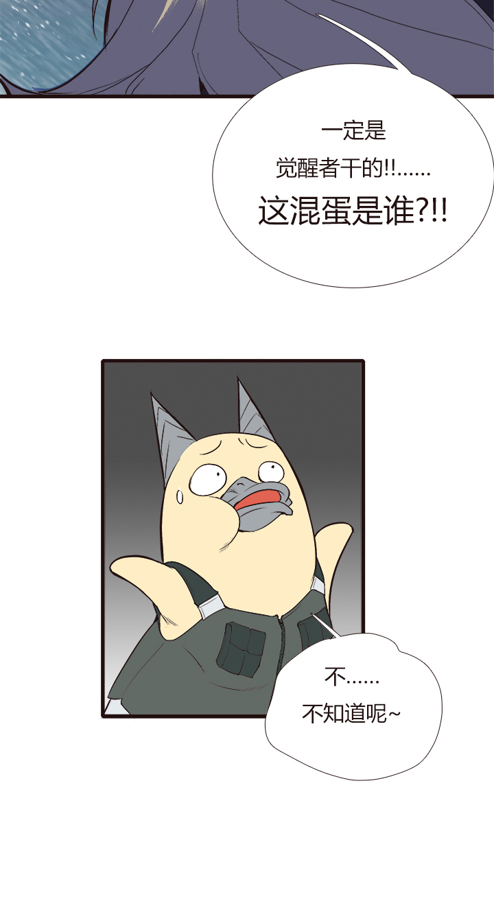 《觉醒纪元》【第四章】114 第29页