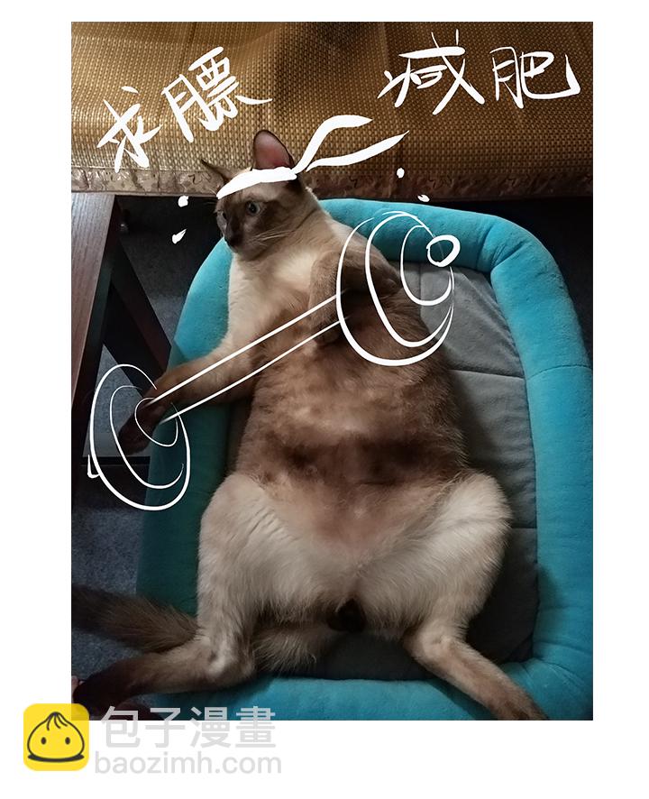 《觉醒纪元》【第四章】118 第34页