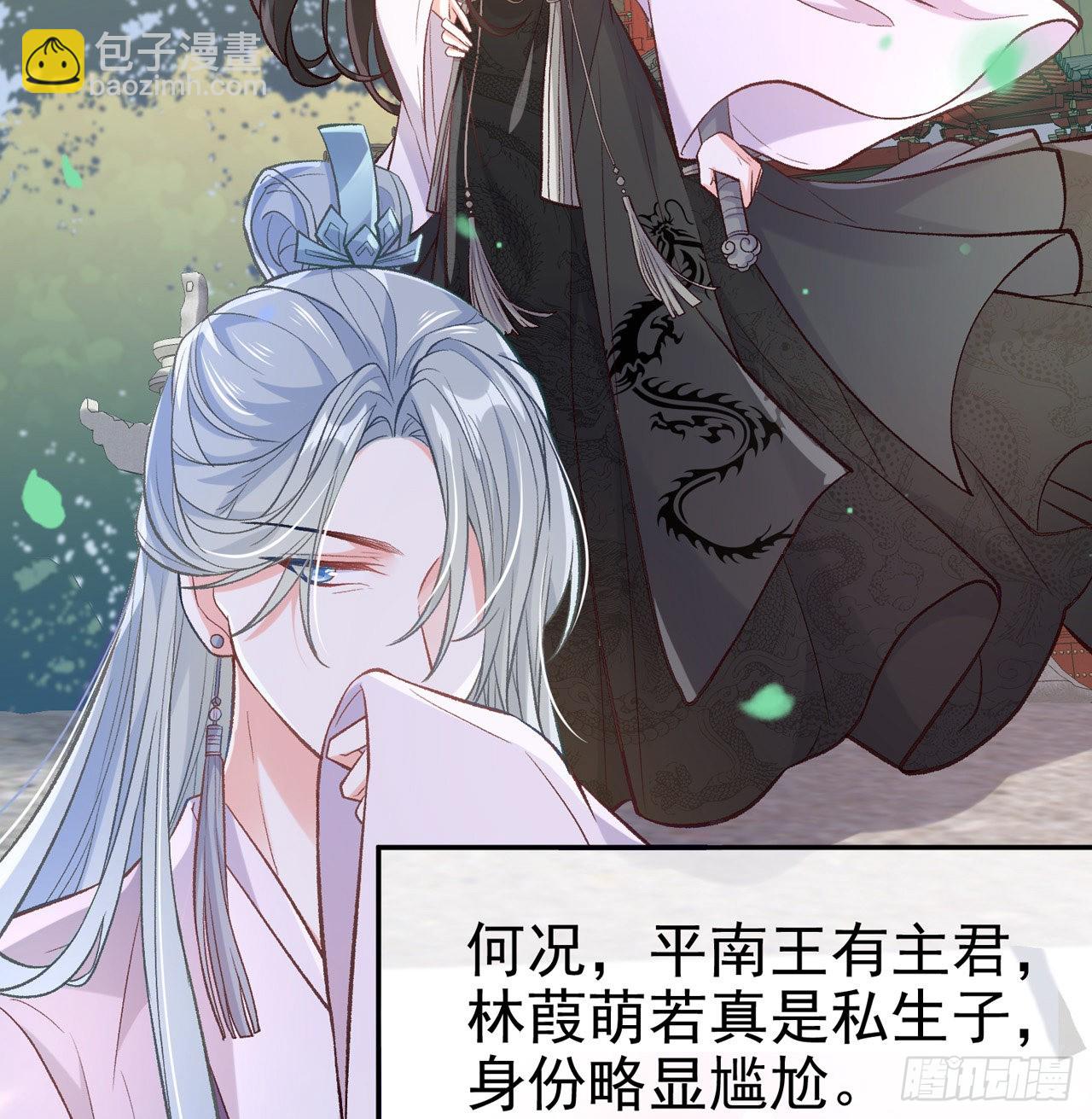 《娇媚夫郎，在线绿茶（绿茶夫君）》平南王的私生子？ 第22页